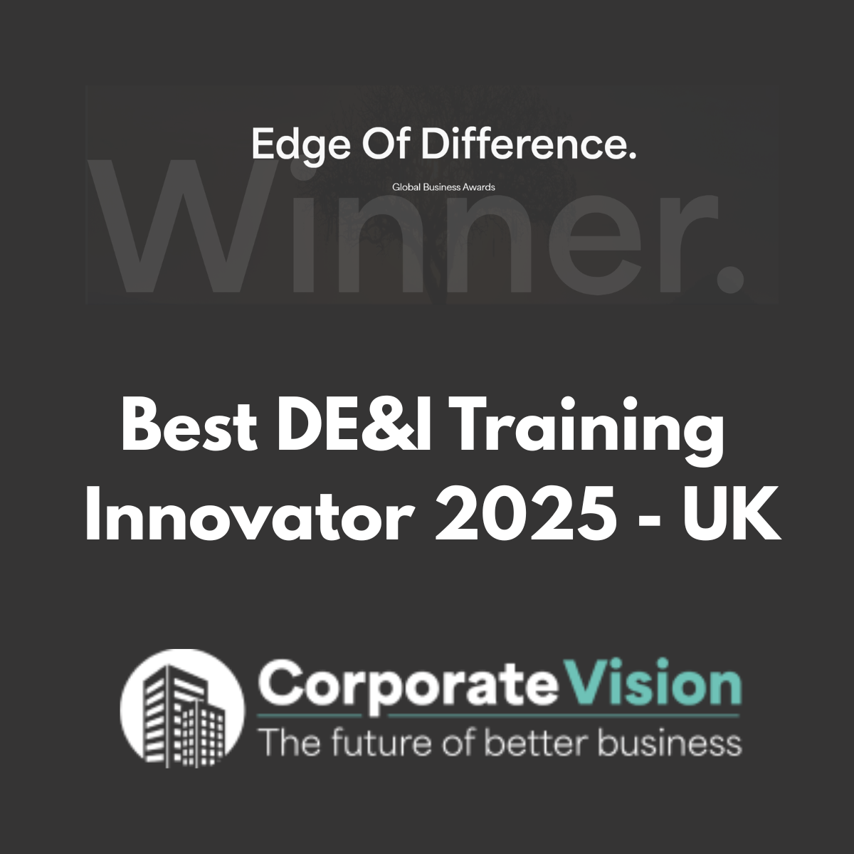 Corporate vision award